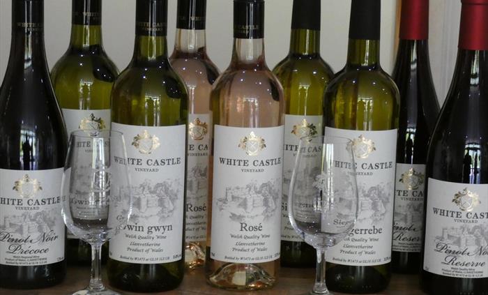 WINES 2018